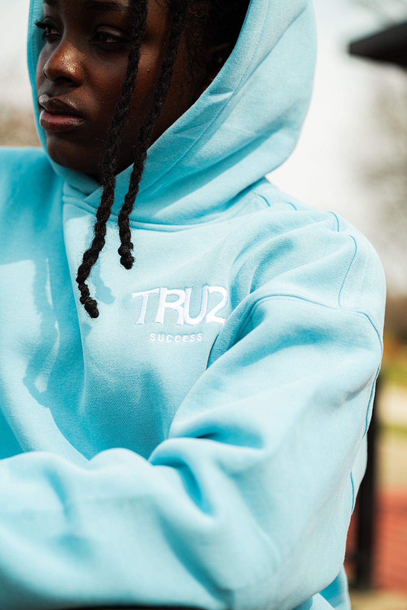 Origins Heavyweight Hoodie